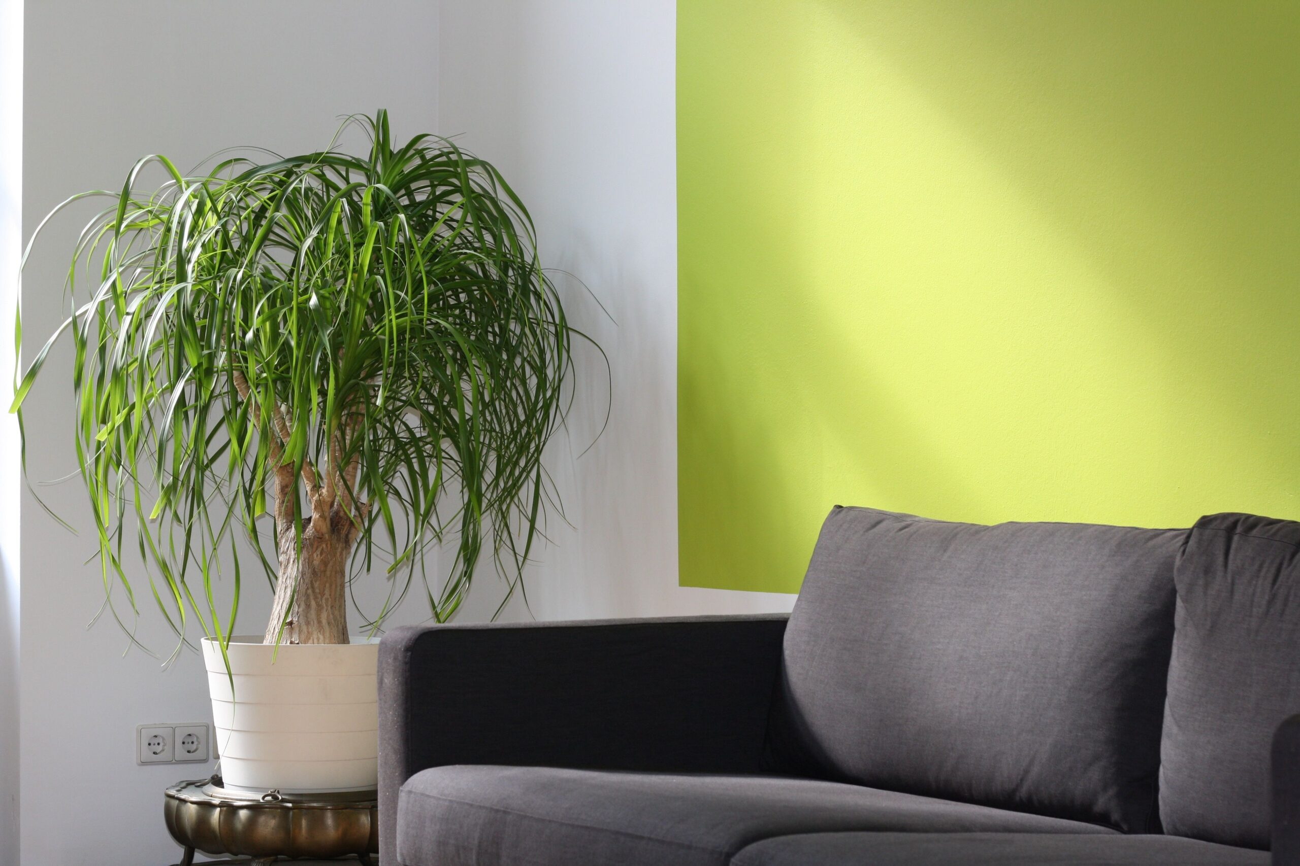 Why Professional Interior Designers Are Essential to Kenya’s Future Development